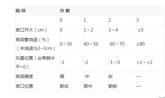 孕妇内检评分标准