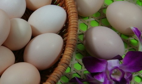 专家指导：孕妇如何正确吃鸡蛋
