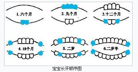 女宝宝几个月长牙