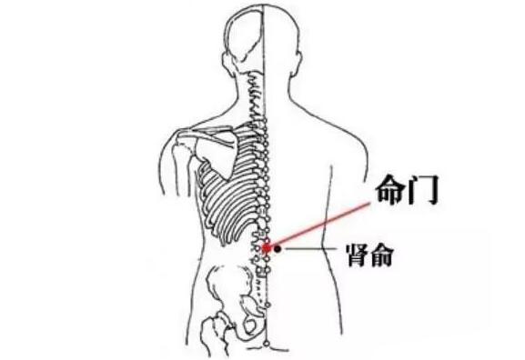 小儿遗尿推拿手法6