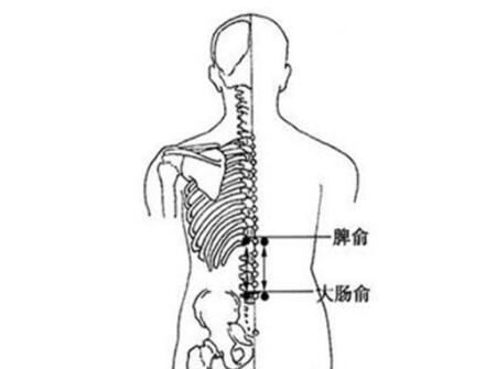 小儿痢疾寒湿痢推拿方法9