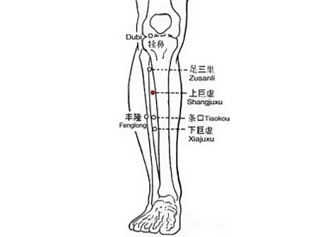 小儿痢疾寒湿痢推拿方法11