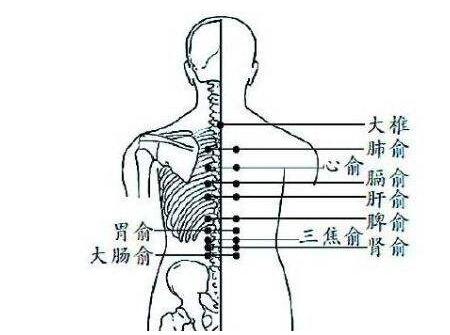 防小儿湿疹推拿哪个部位4